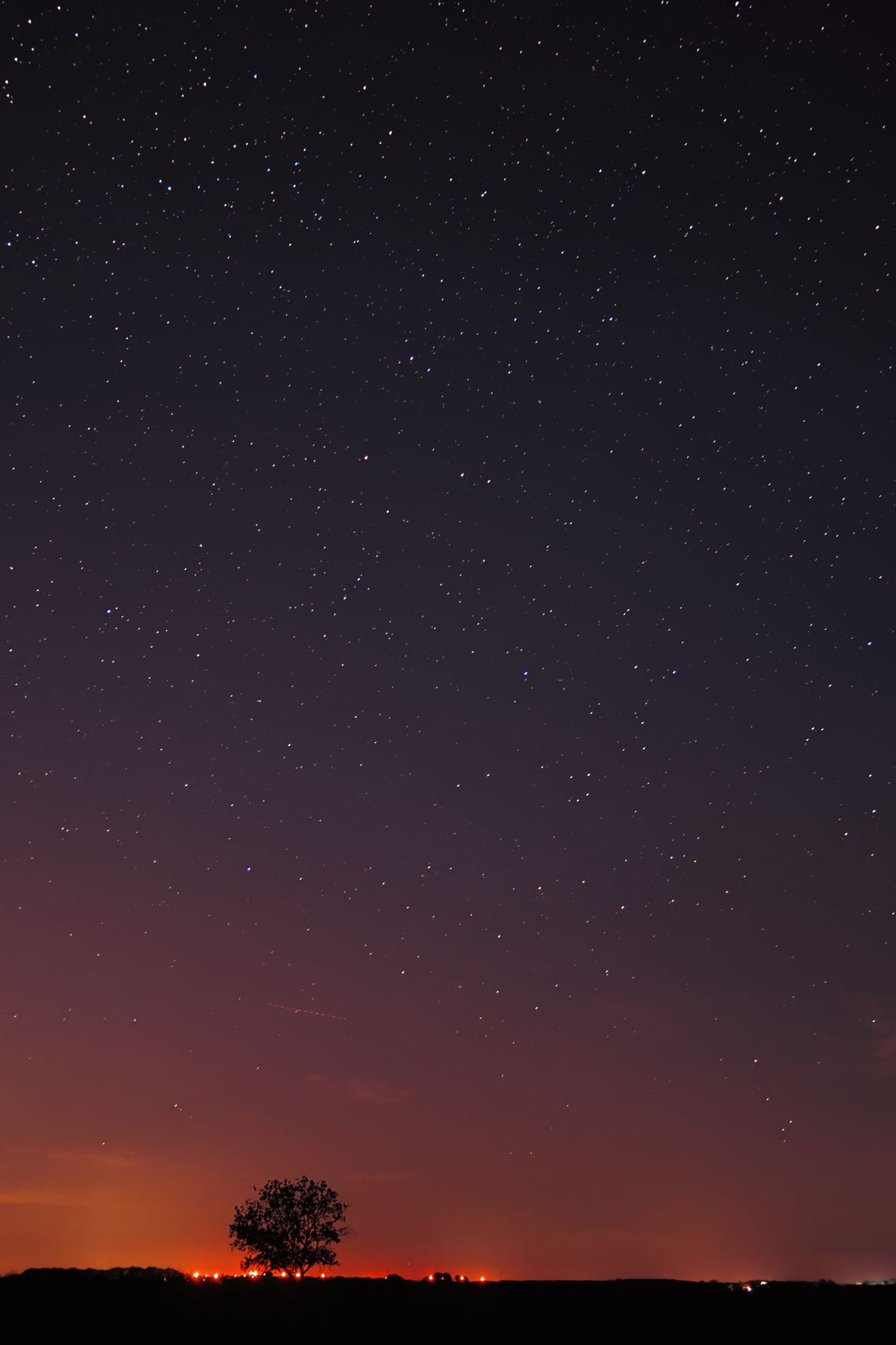Noc. Sylwetka samotnego drzewa w oddali w dolnej części obrazu. Nad drzewem rozgwieżdżone niebo.