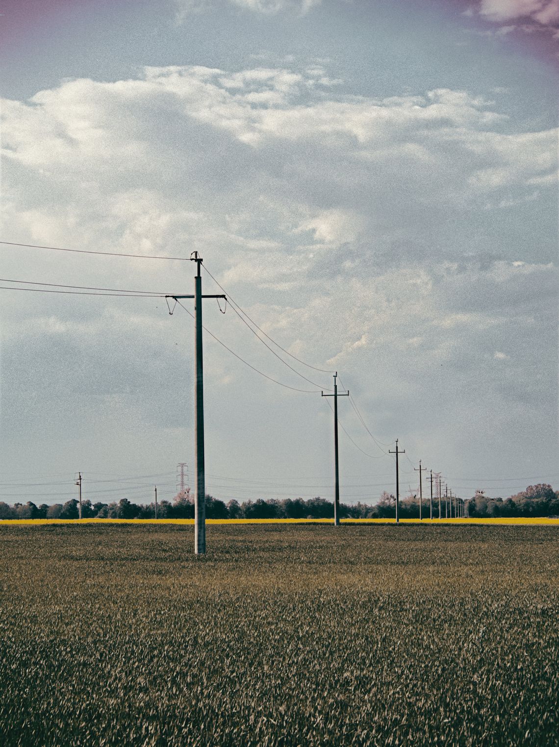 Słupy elektryczne na polu.