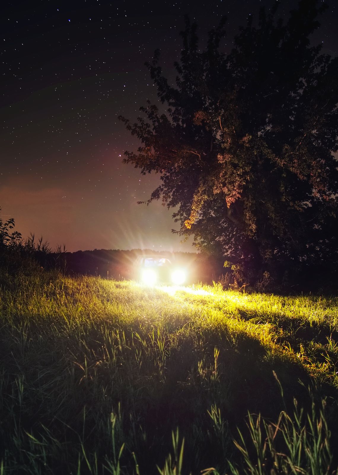 Noc. Auto z zapalonymi światłami stojące na łące.