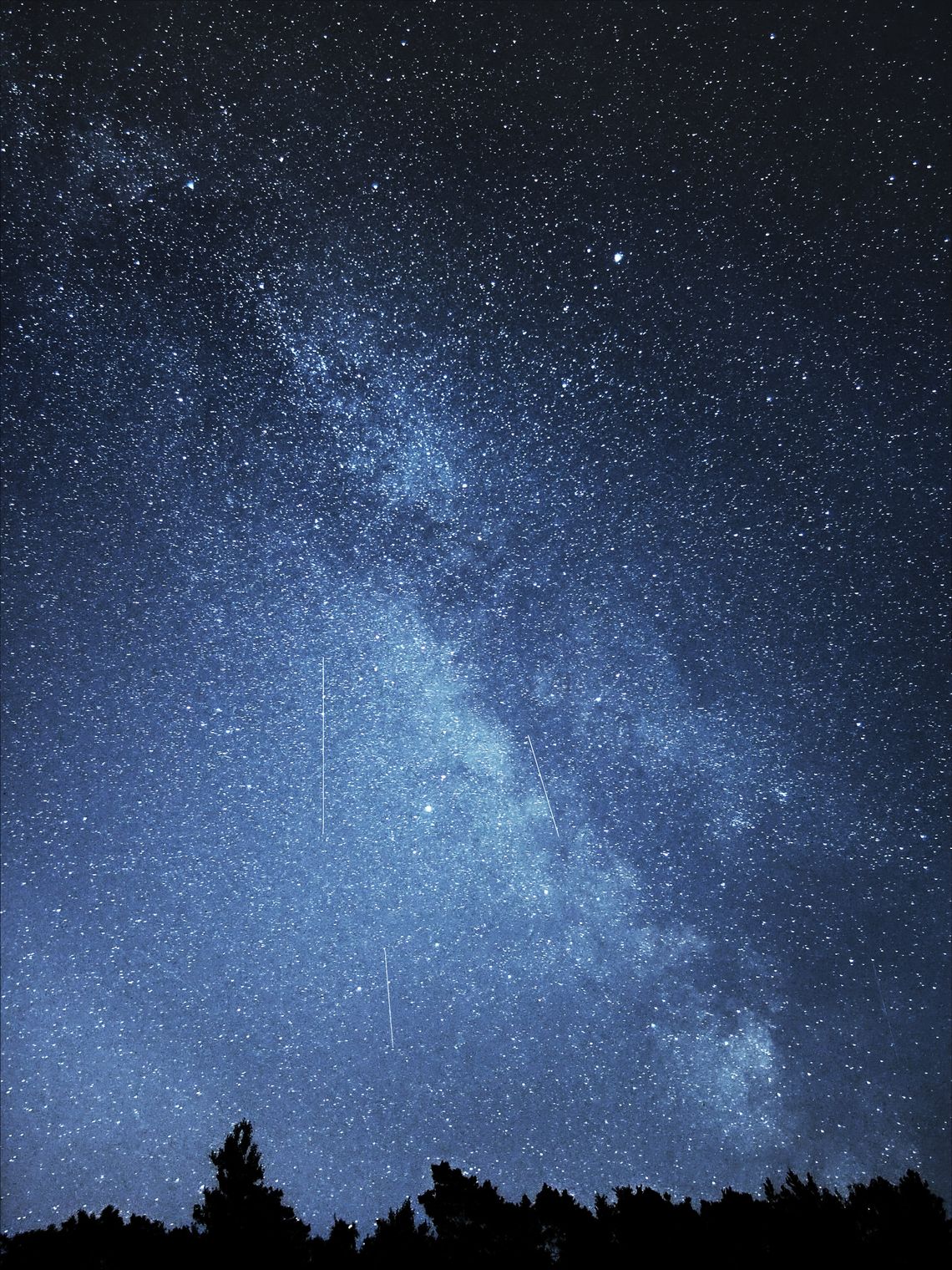 Centralna część Drogi Mlecznej. Drzewa w dole kadru.