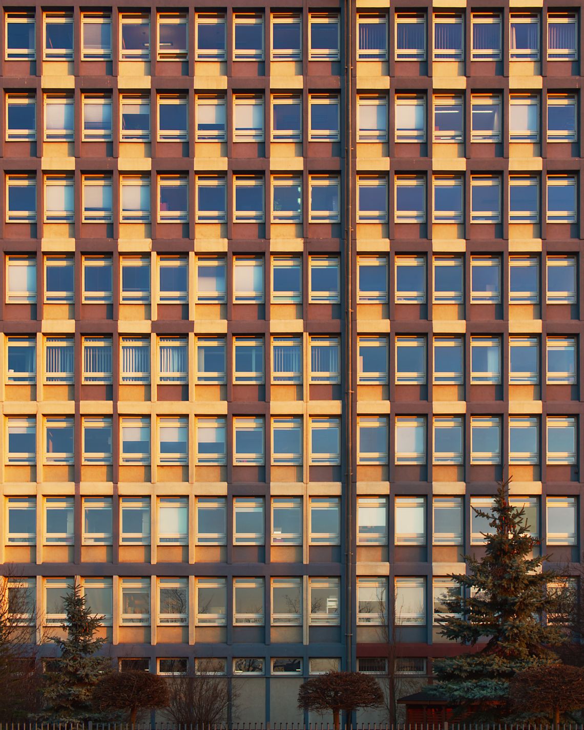 Pattern recognition (13)