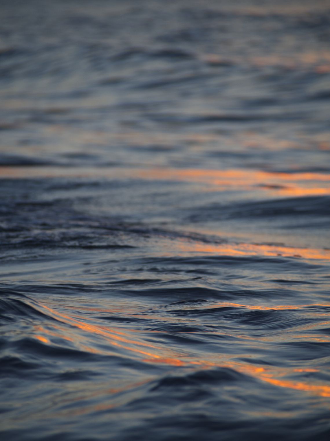 Pattern recognition (poza serią)