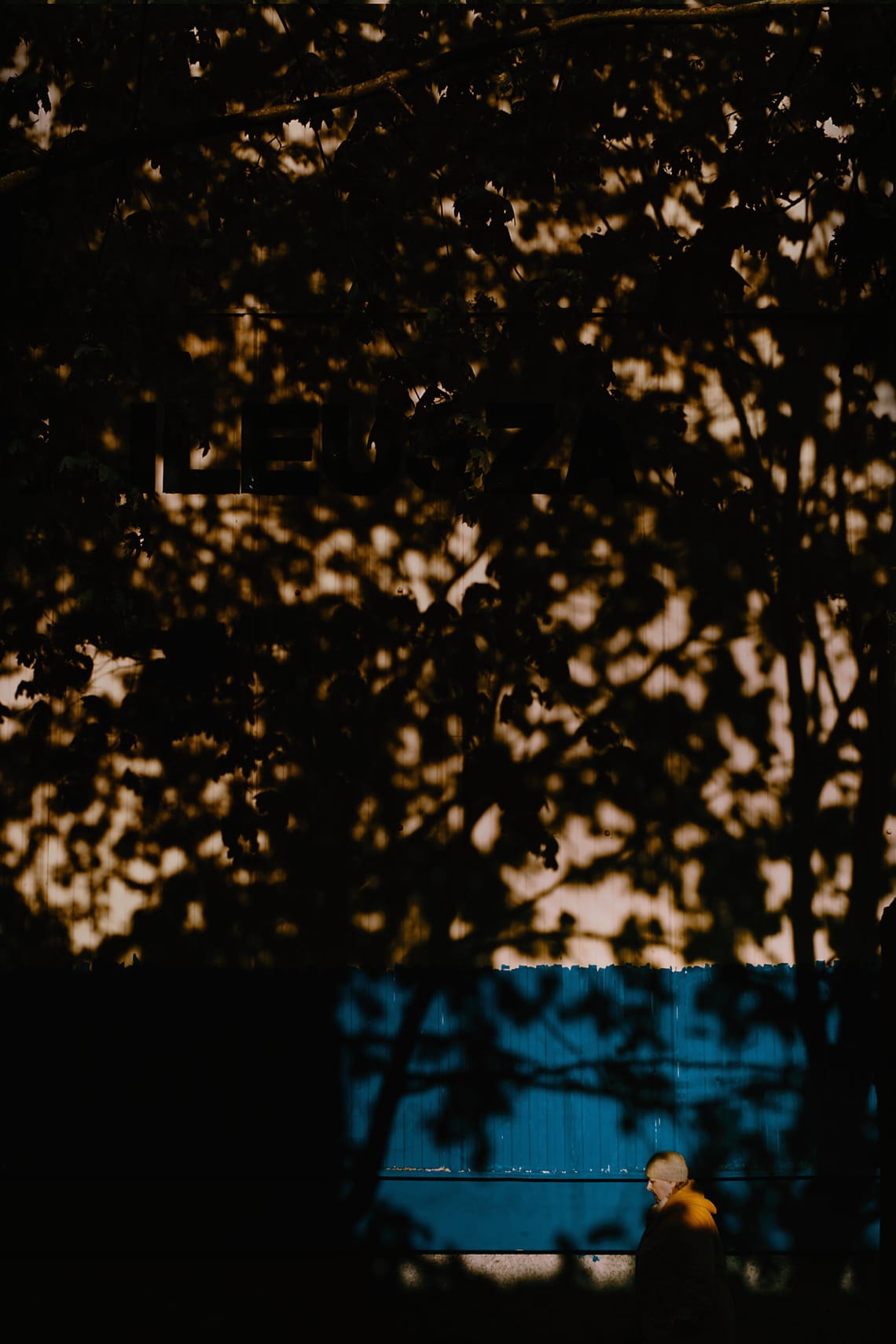 My own face inside the trees