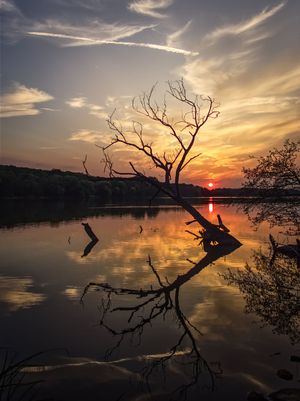 Rusałka na początku września