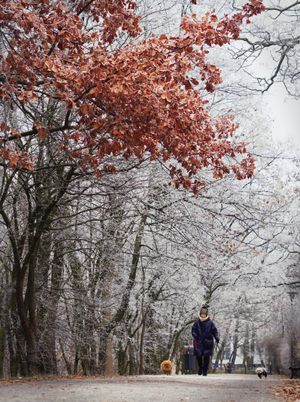 Winter Wonderland (2)