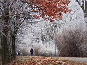 Winter Wonderland (2) - B side