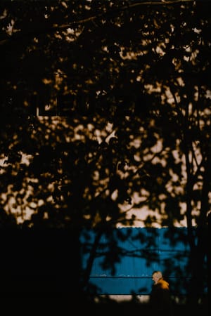 My own face inside the trees